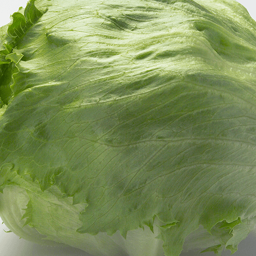 Salade iceberg