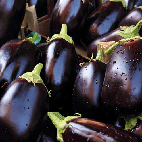 Aubergines (Egg plants)