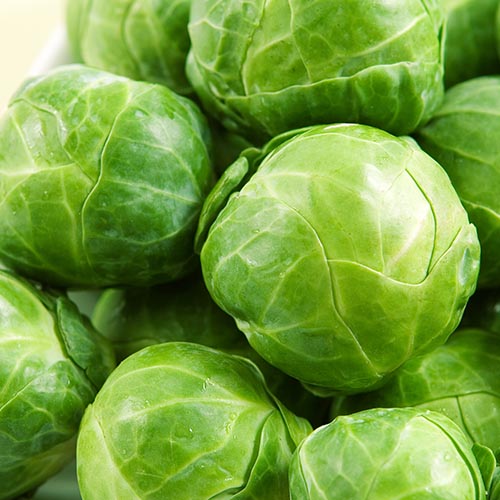 Brussels sprouts