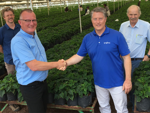 Beekenkamp Plants and Syngenta Flowers North America announce joint poinsettia marketing and supply chain initiative