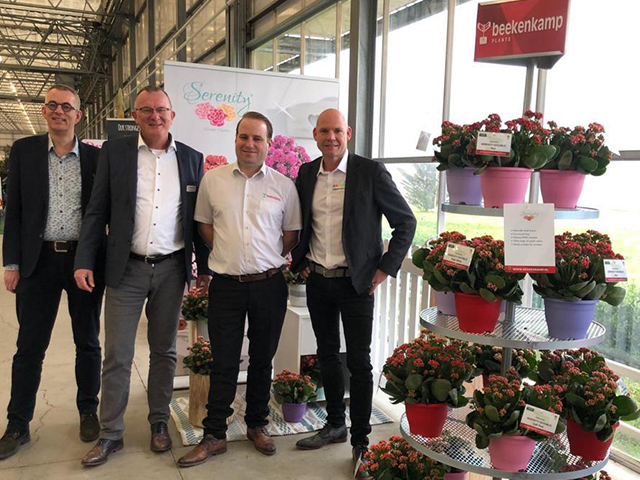 North America: Beekenkamp signs agreement with SlijkermanKalanchoe