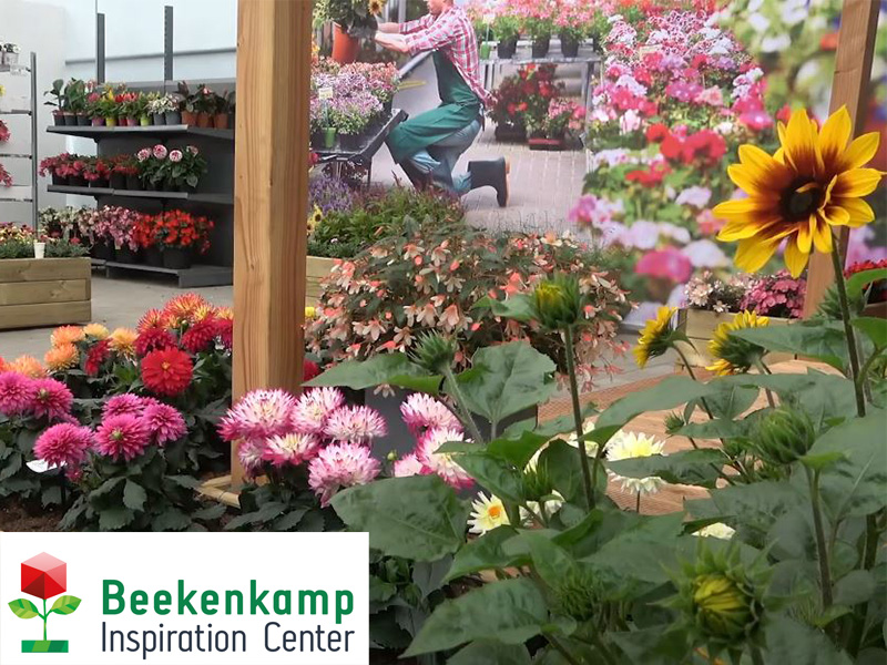 Opening Beekenkamp Inspiration Center