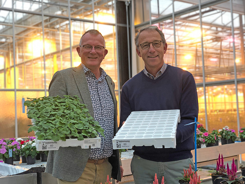 Beekenkamp Plants introduces sustainable 60-hole BKX-tray
