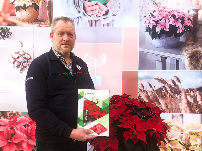 Beekenkamp Plants introduceert Superstar ‘Kayla Red’ in nieuwe Poinsettia catalogus