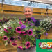 Beekenkamp Plants Inspireert Tijdens Interne Voorjaarsbeurs