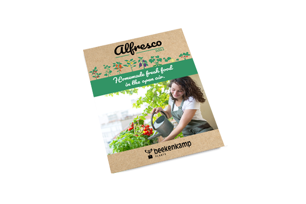 Hobby Vegetables