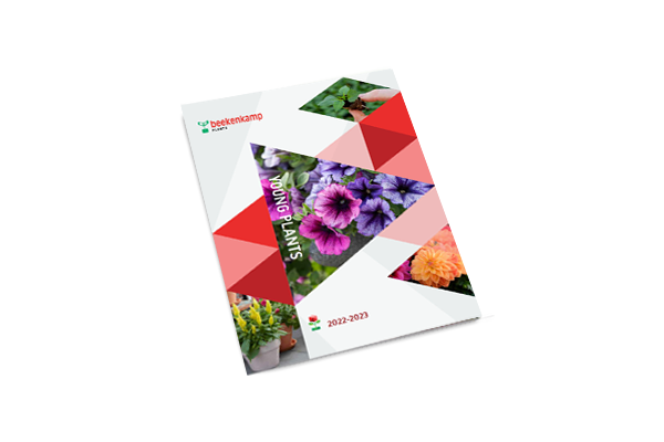 Pot & Bedding Plants