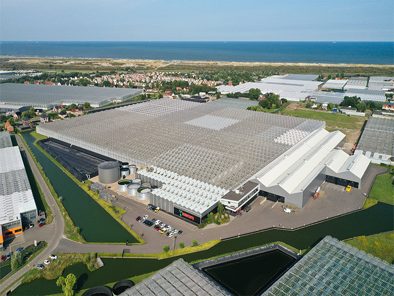 Beekenkamp Group gestart met fase 3 van de nieuwbouw in ‘s-Gravenzande