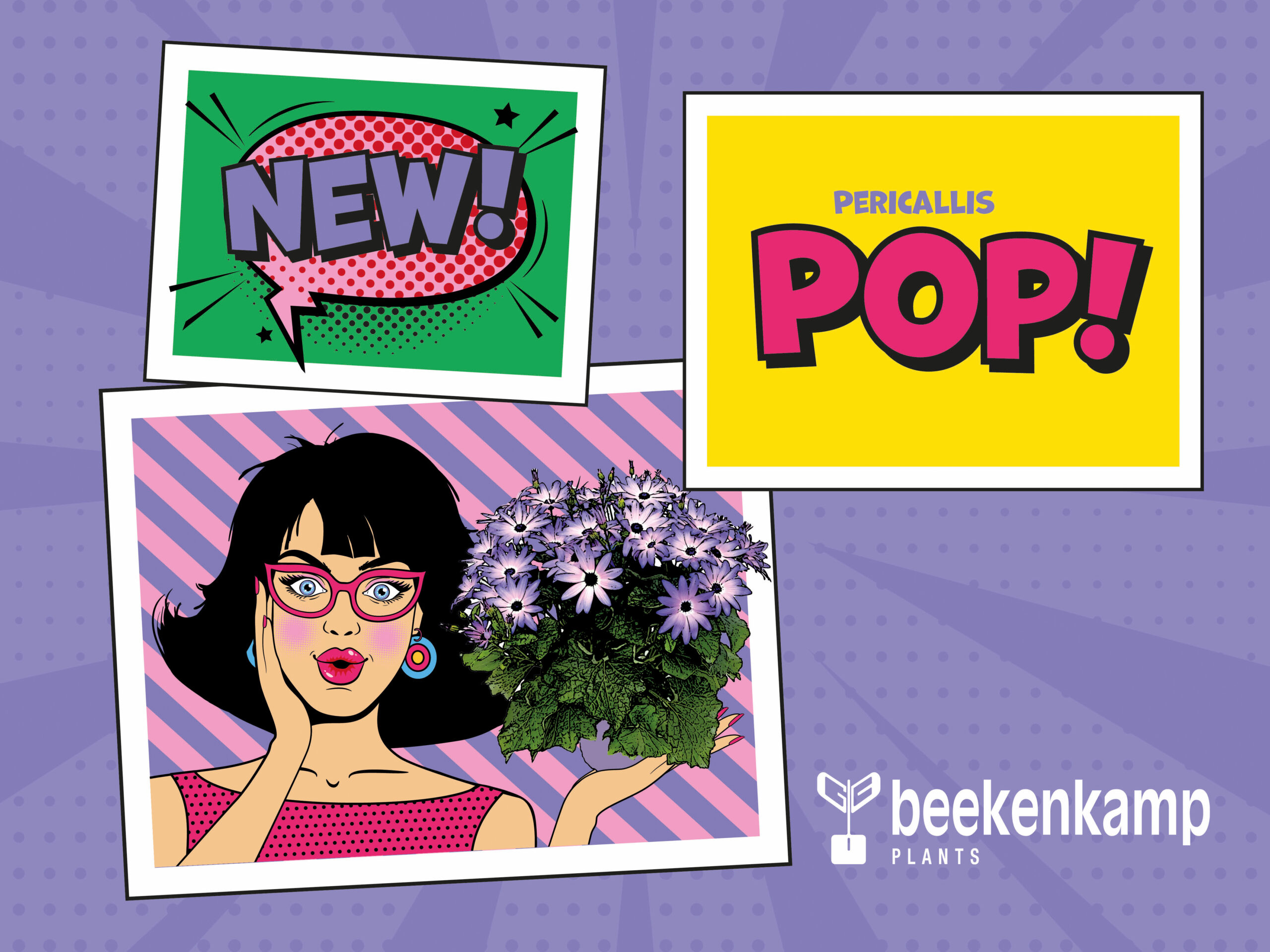 A Groundbreaking Revolution at IPM ESSEN with Pericallis POP!