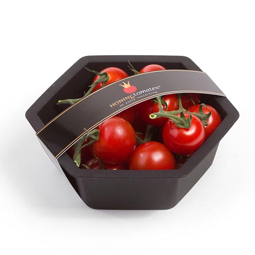 Kunststof tomatenbakje