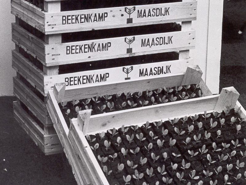 1982