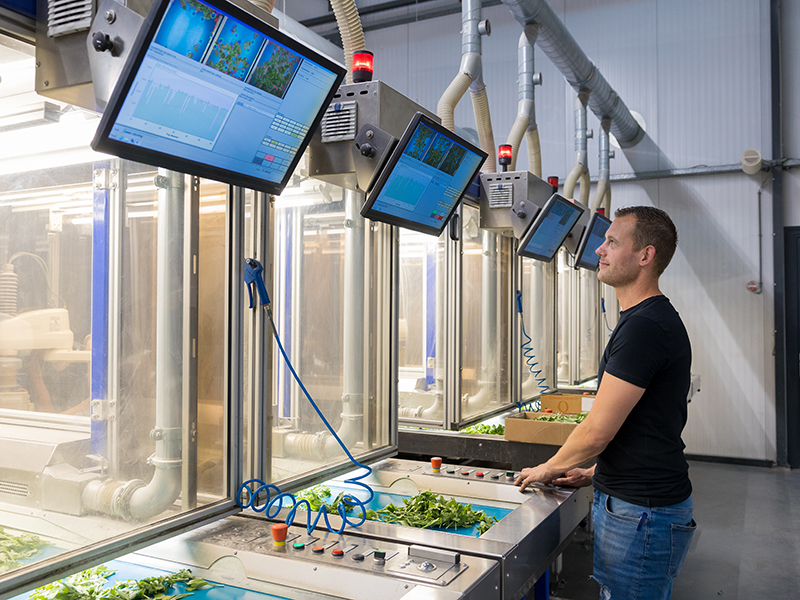 Steksteekrobots Deliflor