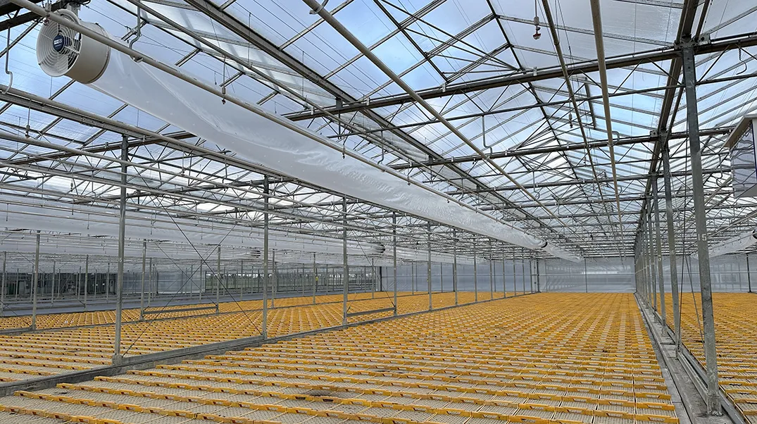 Groentenkas in Lutjebroek met technische vernieuwingen.