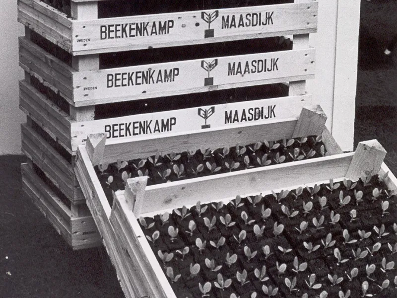 Zwart wit foto van houten kisten van Beekenkamp Verpakkingen