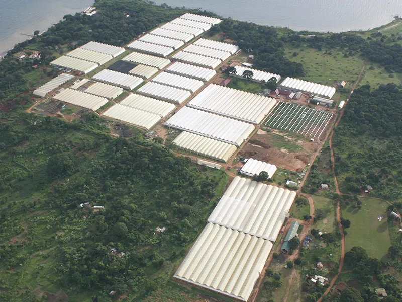 Foto van bovenaf van de productielocatie in Afrika