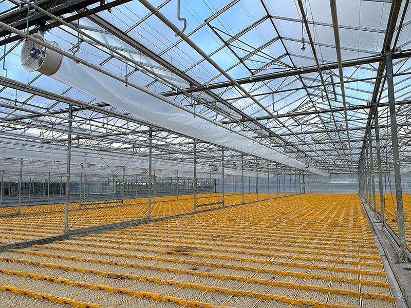Kas van locatie Lutjebroek met gele kisten met vollegrondgewassen.